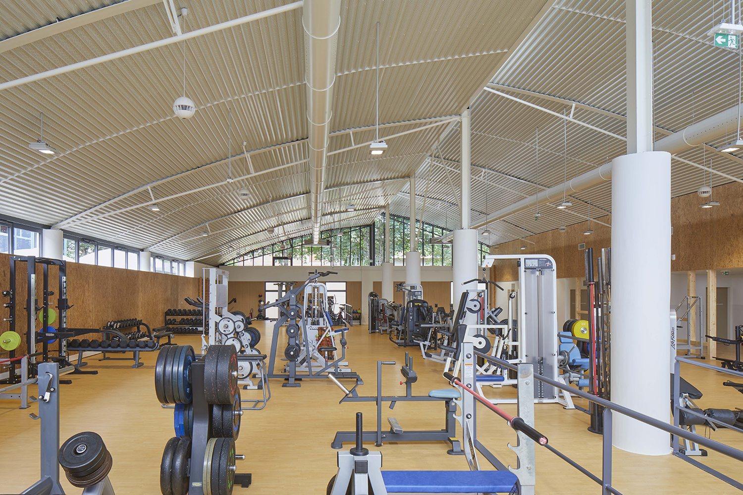 Halle des Blagis - image 2