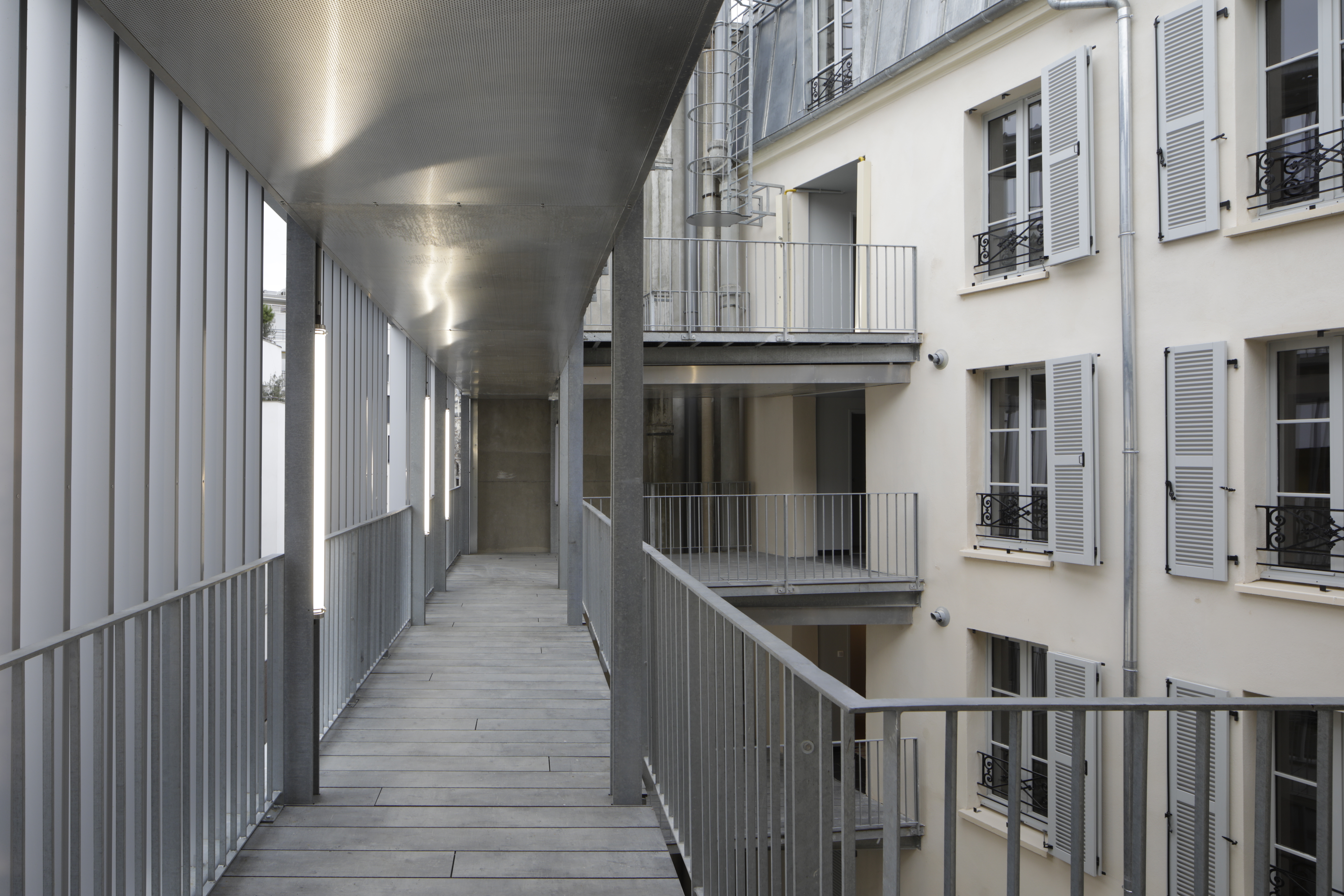 Chevreuil - image 7