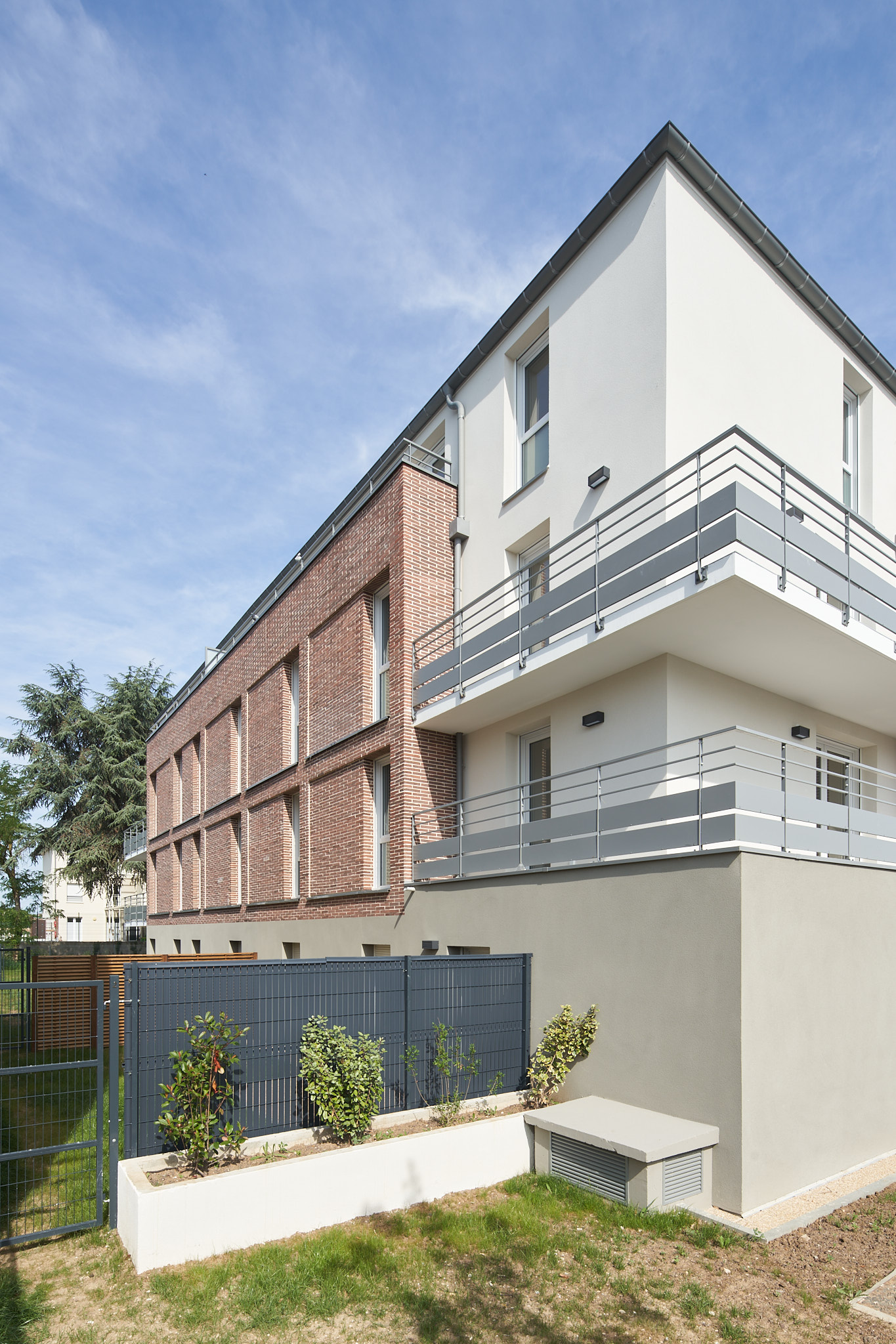 Chevreuil - image 5